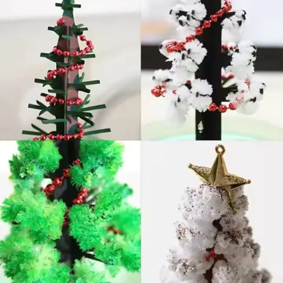 SproutFest – Züchte Deinen Eigenen Weihnachtsbaum ab 6 Jahren