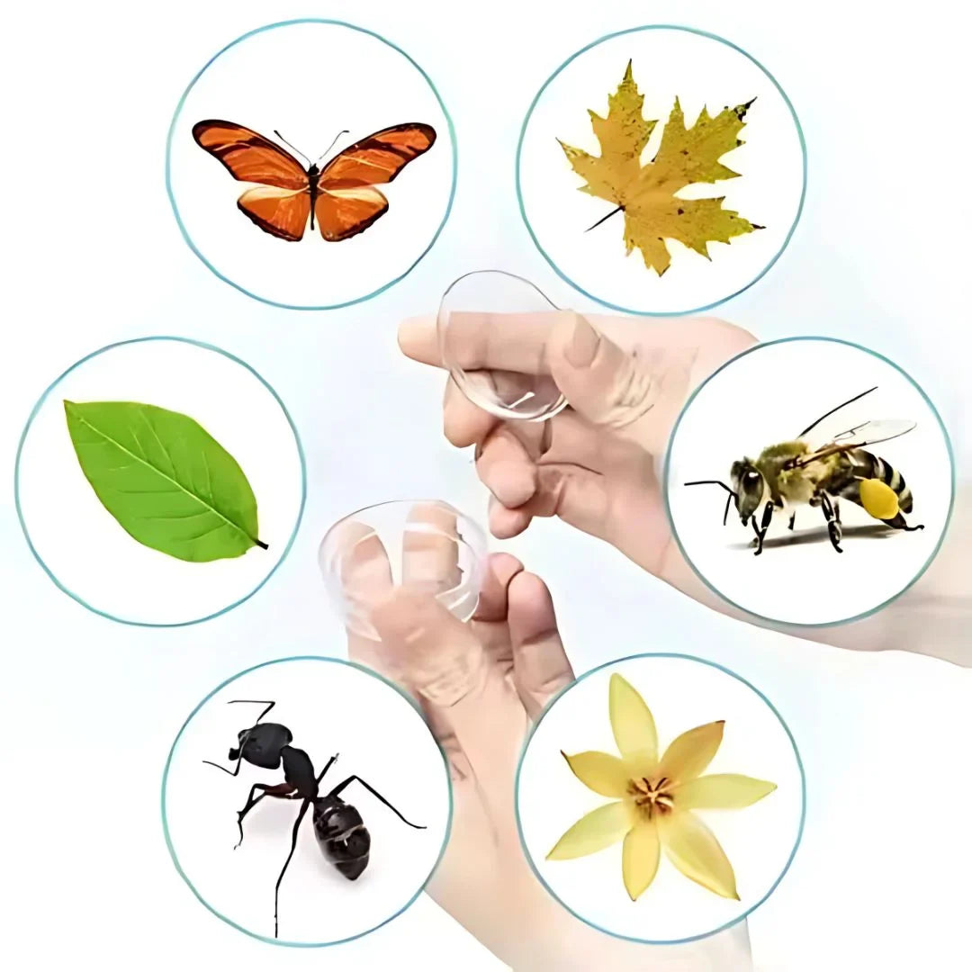 Buglo – Insekten-Beobachtungskasten für Kinder ab 4 Jahren | Outdoor Entdecker Spielzeug