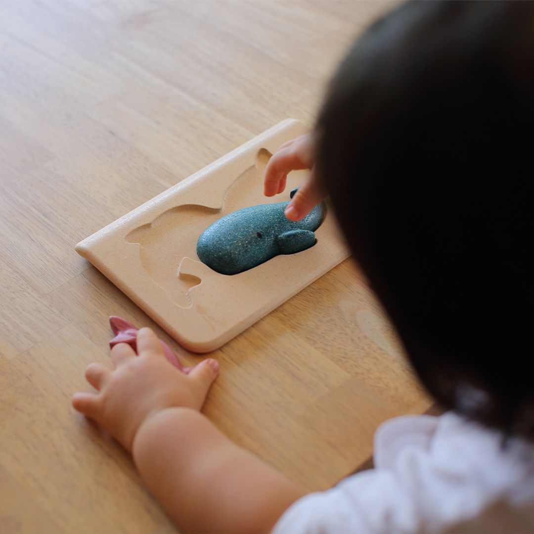 Sea Life Puzzle