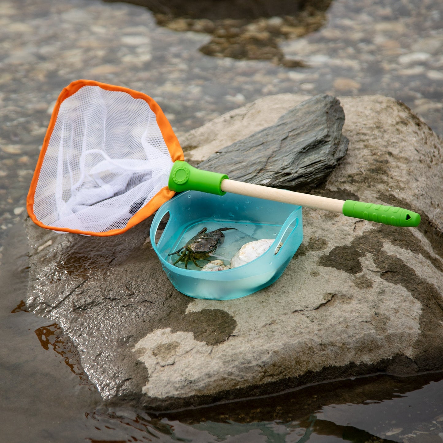 Let’s Explore Critter Net Play Set