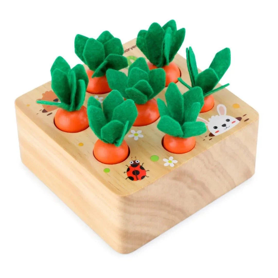 CarrotNest – Montessori Holz-Wurzelspiel für Kleinkinder Ab 1 Jahr – Sortier- und Ziehspiel zur Förderung der Motorik