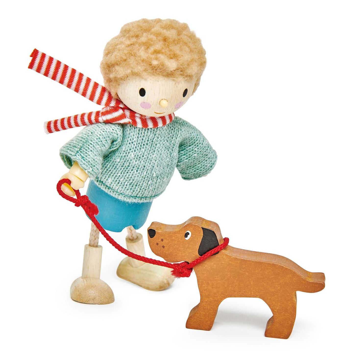 Meneer Goodwood en zijn hond