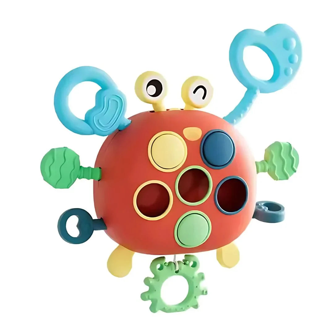 CrabBuddy – Fidget Krabben-Spielzeug für Babys ab 6 Monaten