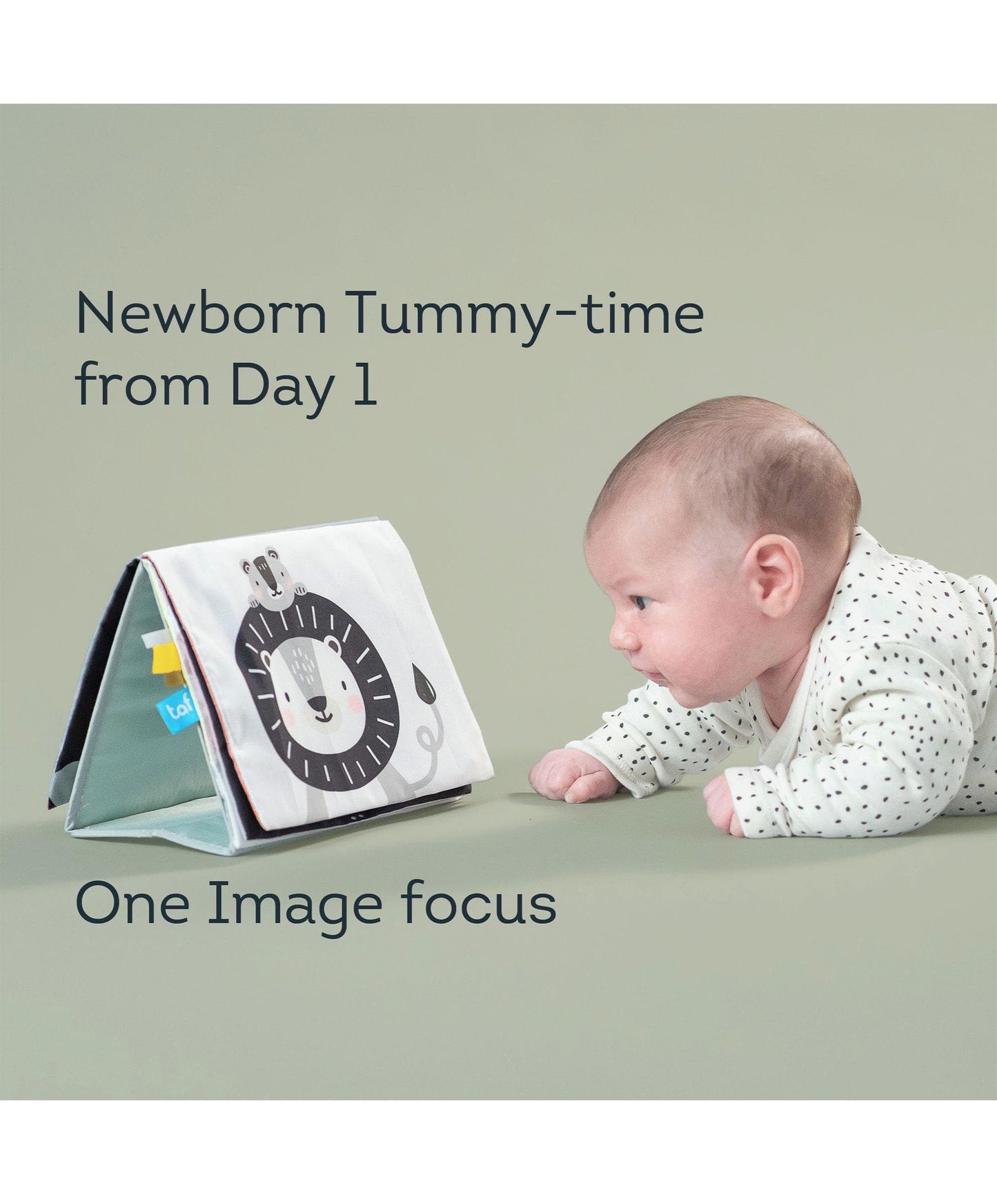 Taf Toys - Książka „Savannah Adventures Tummy Time Book”