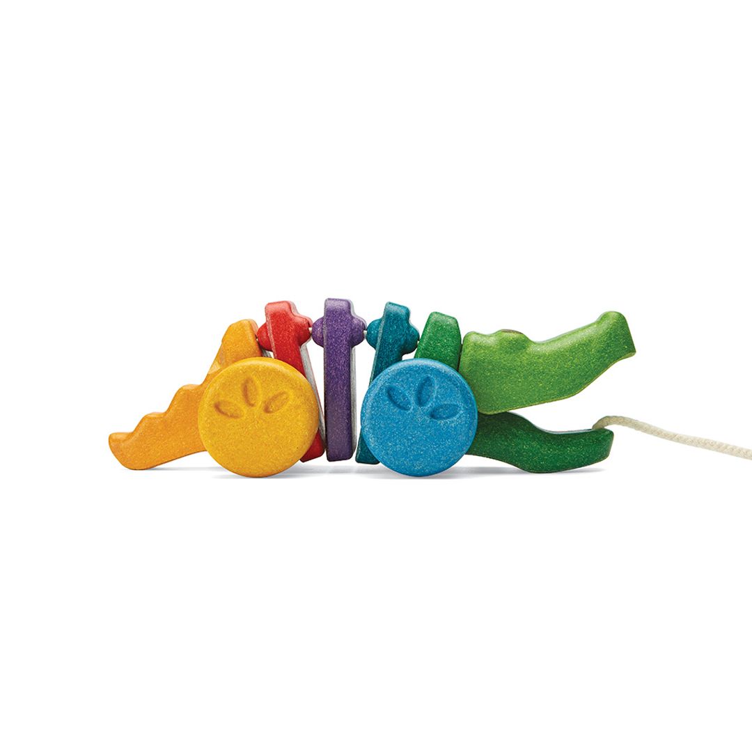 Regenboogalligator