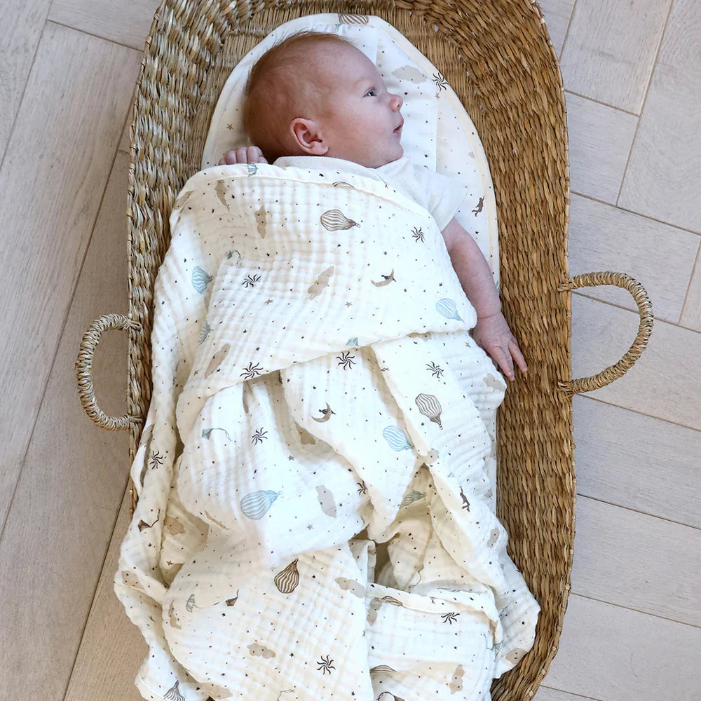 Changing Basket Liner - Dreamland
