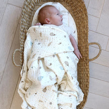 Changing Basket Liner - Dreamland