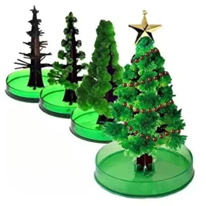 SproutFest – Züchte Deinen Eigenen Weihnachtsbaum ab 6 Jahren