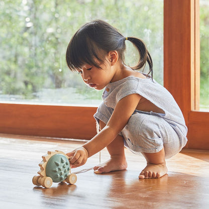 Pull-Along Hedgehog - Blue