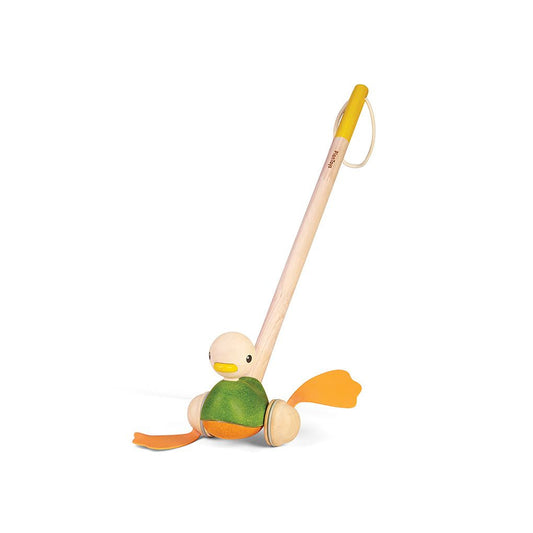 Duw-eend