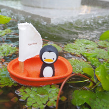 Zeilboot - Pinguïn