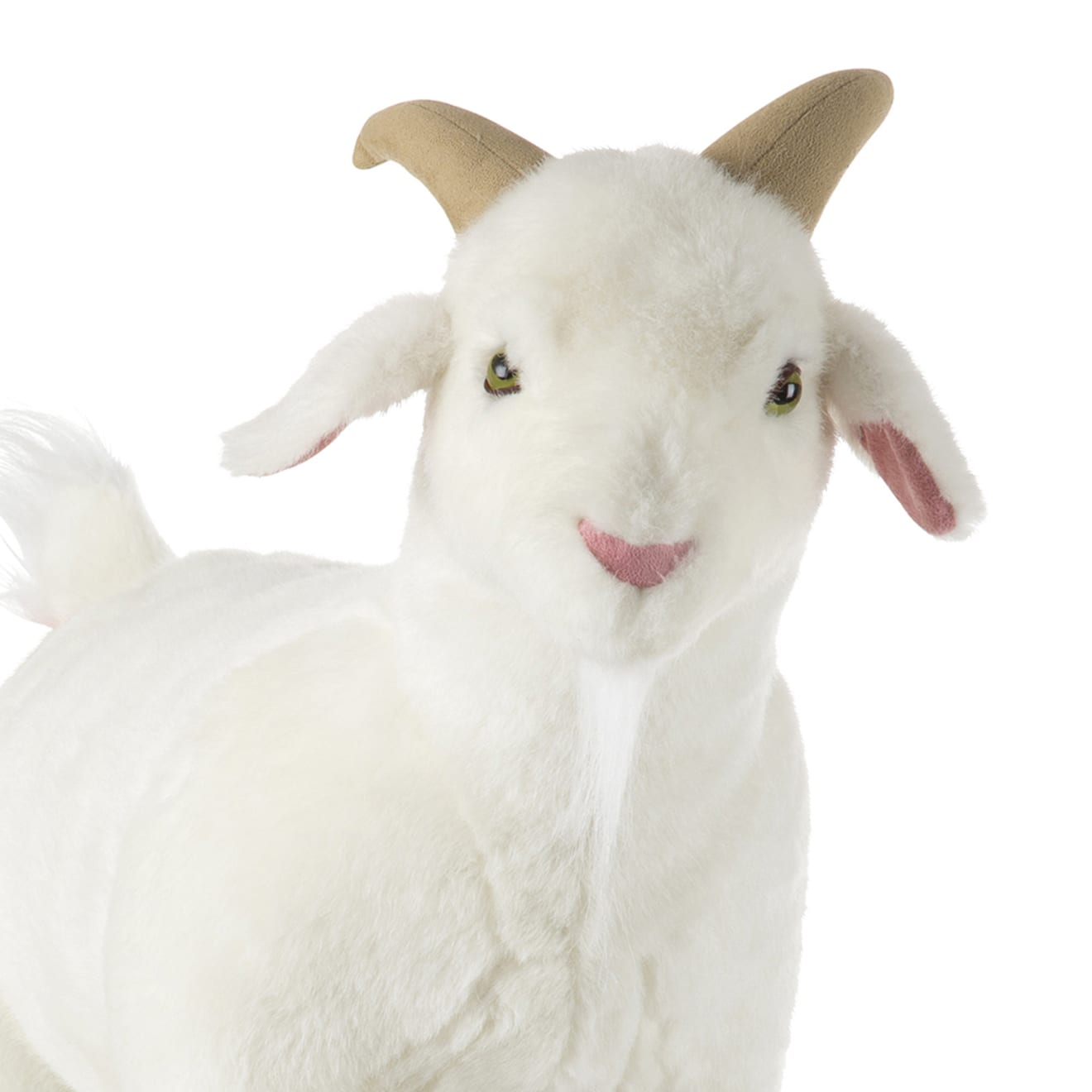 Levensechte pluchen geit