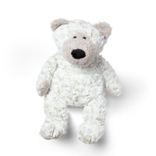 Bear Stuffed Animal
