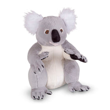 Levensechte pluchen koala