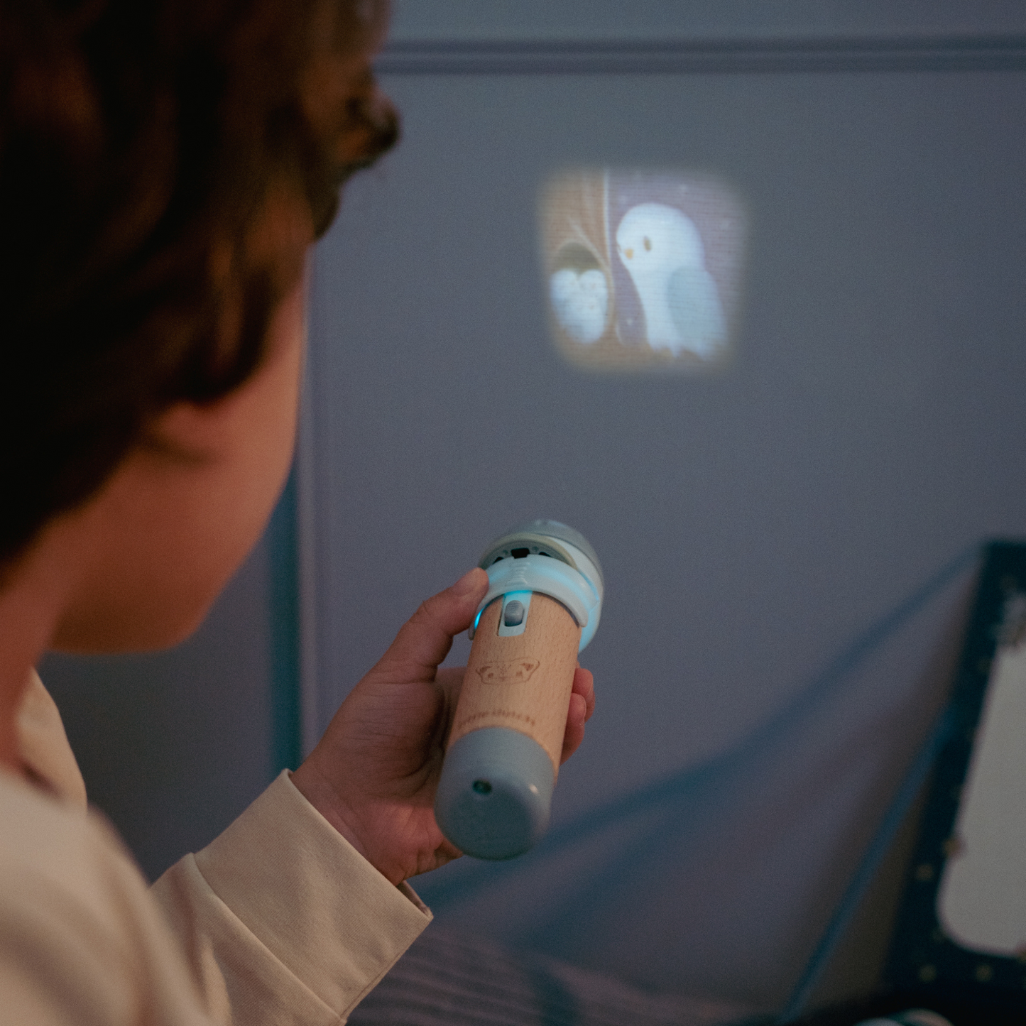 Verhalenprojector - Bosvrienden