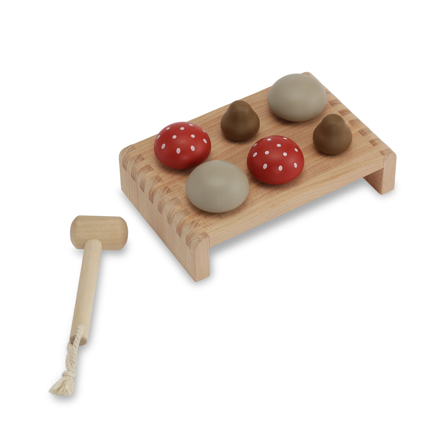 PADDENSTOEL HAMERPLANK - MULTI
