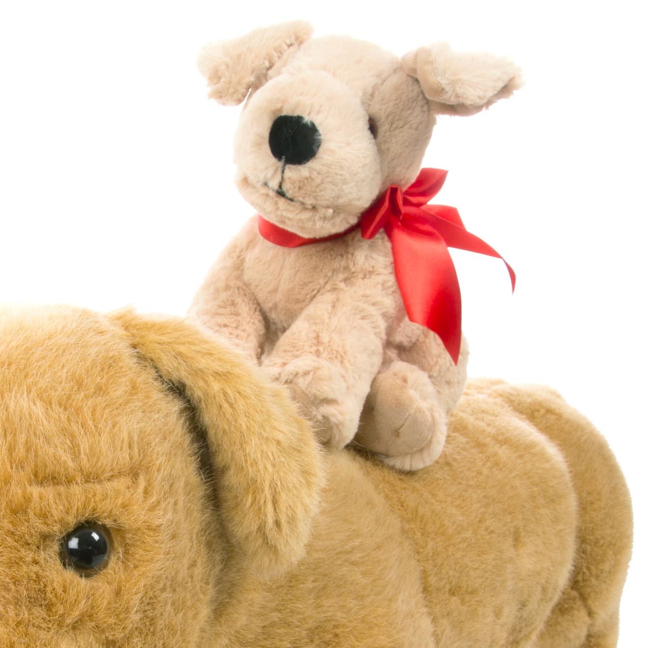 Zonnig geel labrador puppy knuffeldier