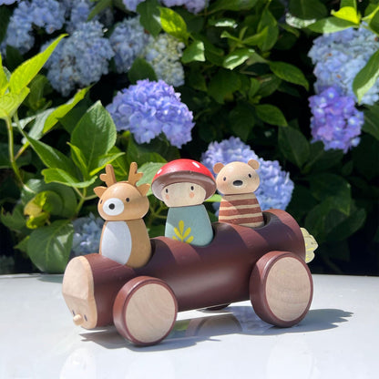 Hout Taxi