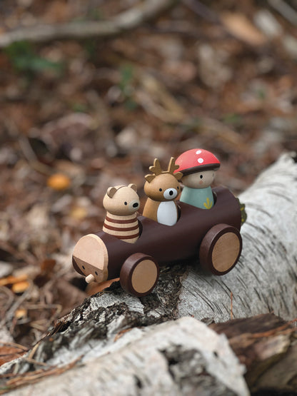 Hout Taxi