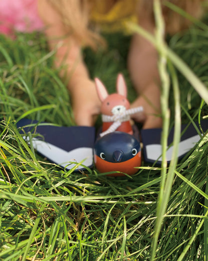 Snelle vogel