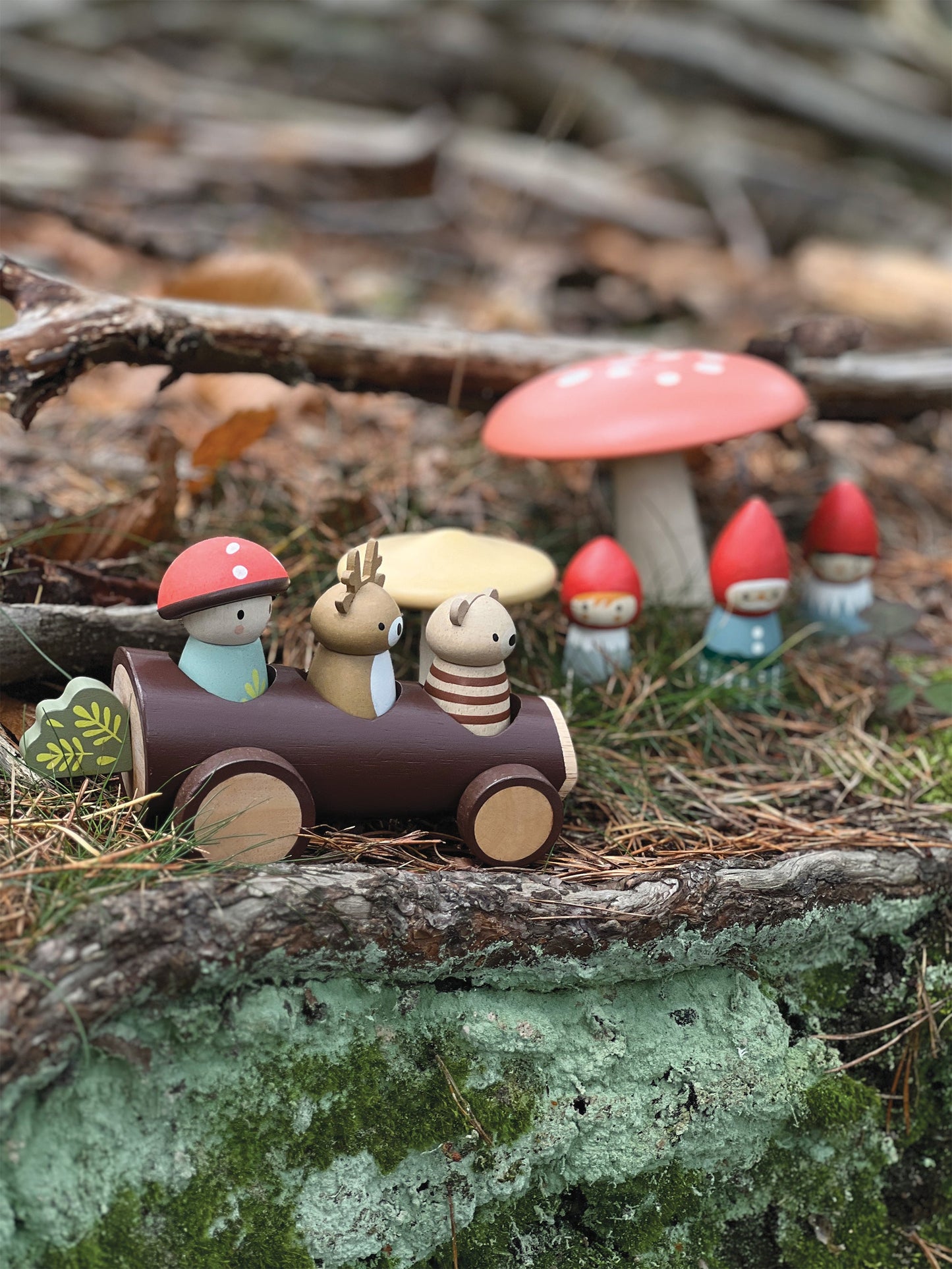 Hout Taxi