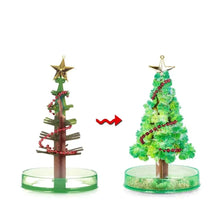 SproutFest – Züchte Deinen Eigenen Weihnachtsbaum ab 6 Jahren