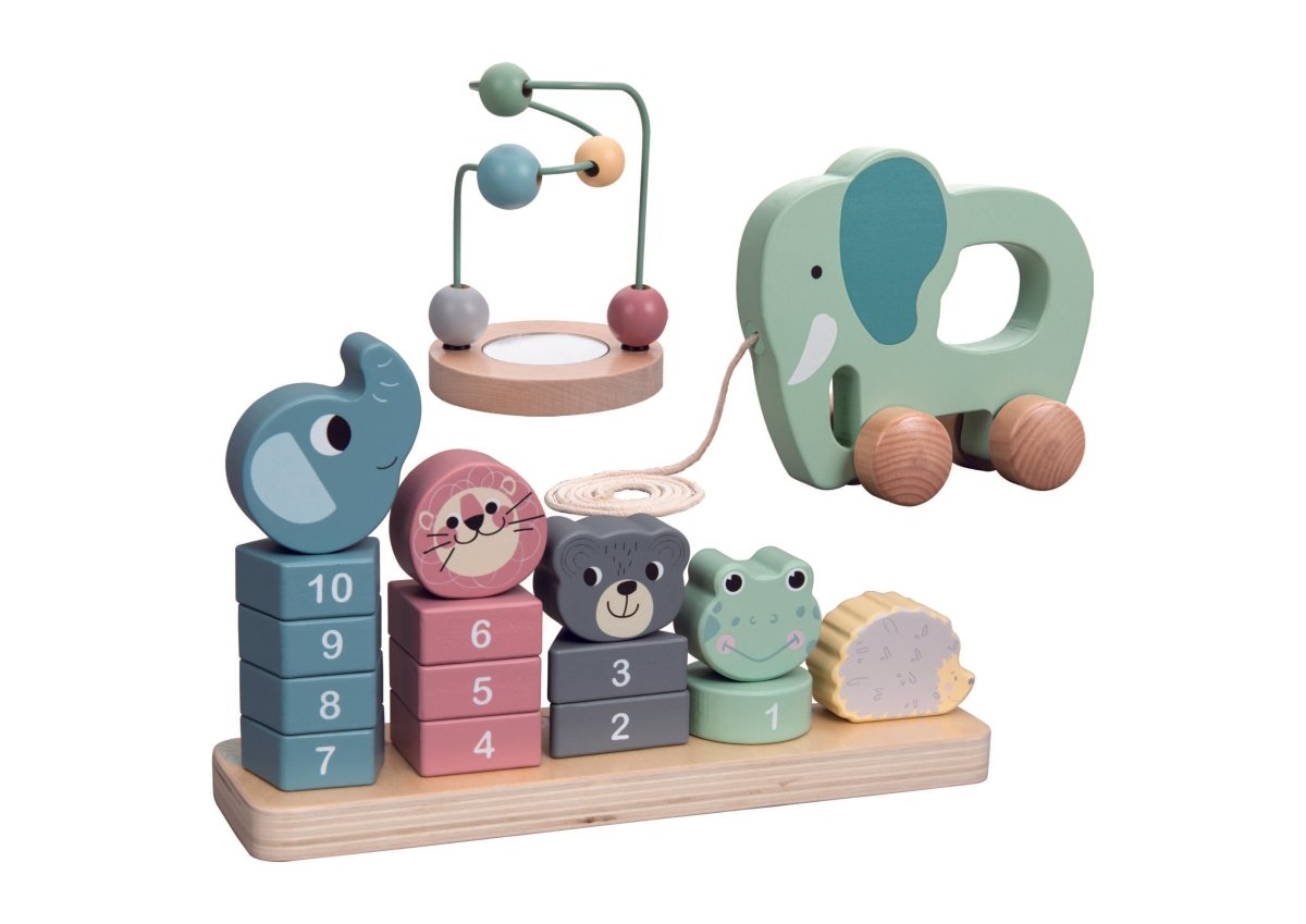 Speel houten educatief tactiel sorteerspeelgoed trio