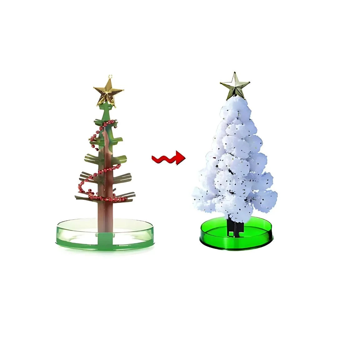 SproutFest – Züchte Deinen Eigenen Weihnachtsbaum ab 6 Jahren