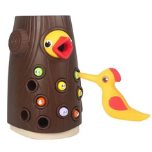 CatchCritters – Magnetisches Wurmspiel | Montessori Feinmotorik Spielzeug für Kinder ab 3 Jahren